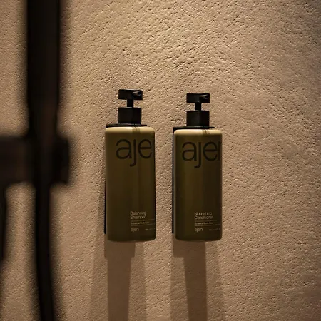 Le Diez Boutique 4* 's-Hertogenbosch (Den Bosch)